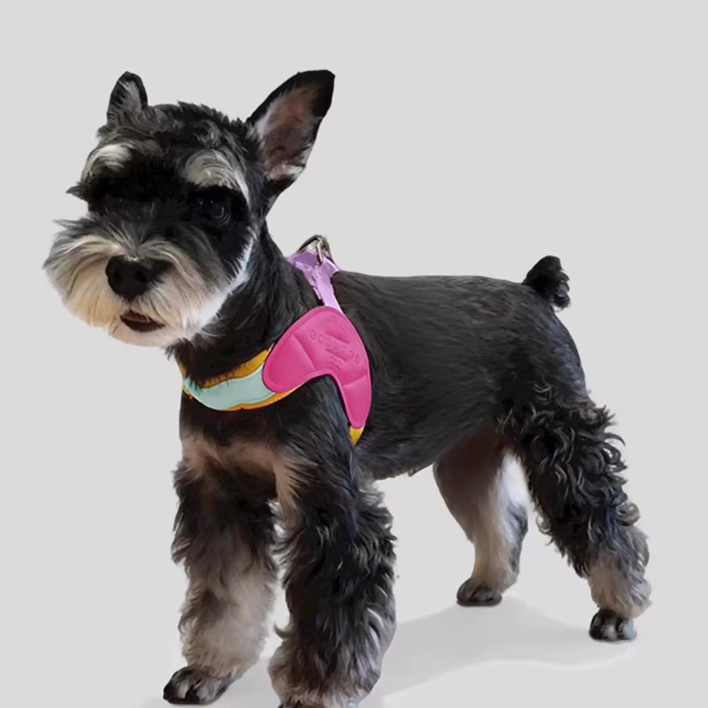 Y-Shaped Dog Harness for Small Dogs Shiba Inu Puppy Chest Straps Macaron Color Matching Pet Harness Outdoor Products