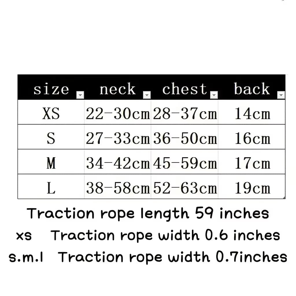 Dog Collar Lead & Harness Set - Top Dogs Fashion