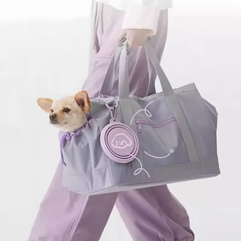 A Meadow Green 650ml foldable travel bowl expanded and filled with water for a dog.