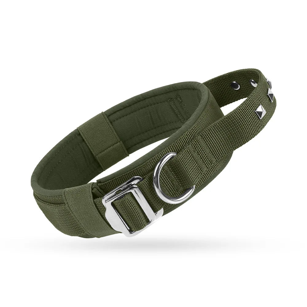 An outdoor ranger combat green casual style dog collar laying flat to showcase the premium export-quality nylon weave and reflective safety borders.