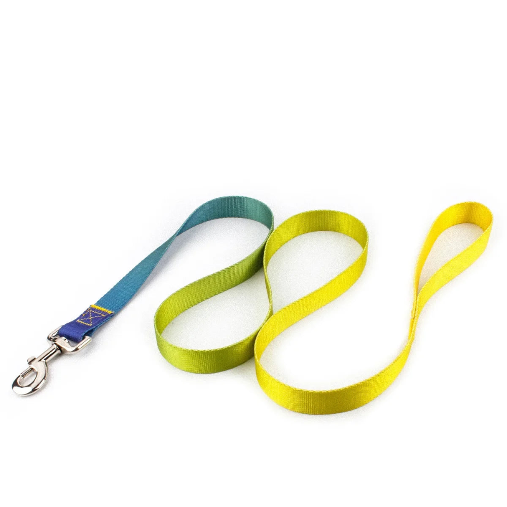 Detailed view of the ocean breeze gradient nylon dog leash displaying the heavy-duty rust-resistant metal swivel clip and comfortable loop handle.