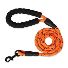 A high-visibility vibrant sunset orange strong dog leash showcasing its industrial-strength build perfect for medium and large breeds.
