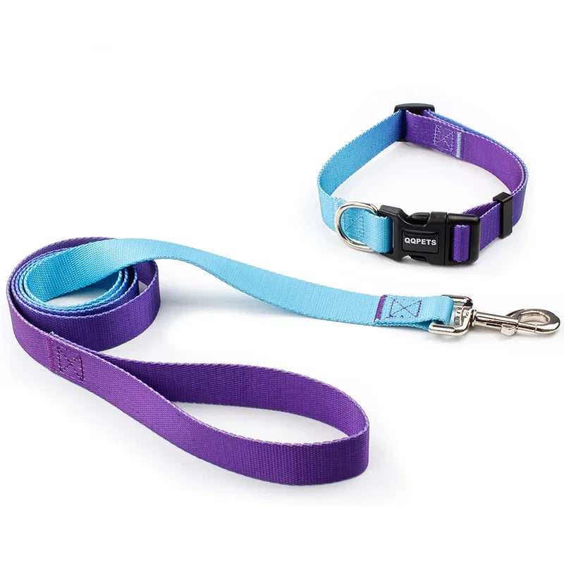 An adjustable light blue nylon pet collar and matching walking leash set displaying its high-density webbed straps, secure black quick-release buckle, and metal alloy swivel clip.