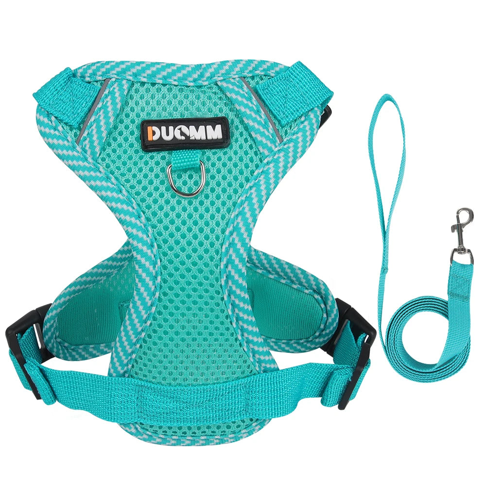 An arctic sky blue cooling air-mesh pet harness and traction lead laid flat to showcase the anti-choke structure and friction-free padded edge lining.