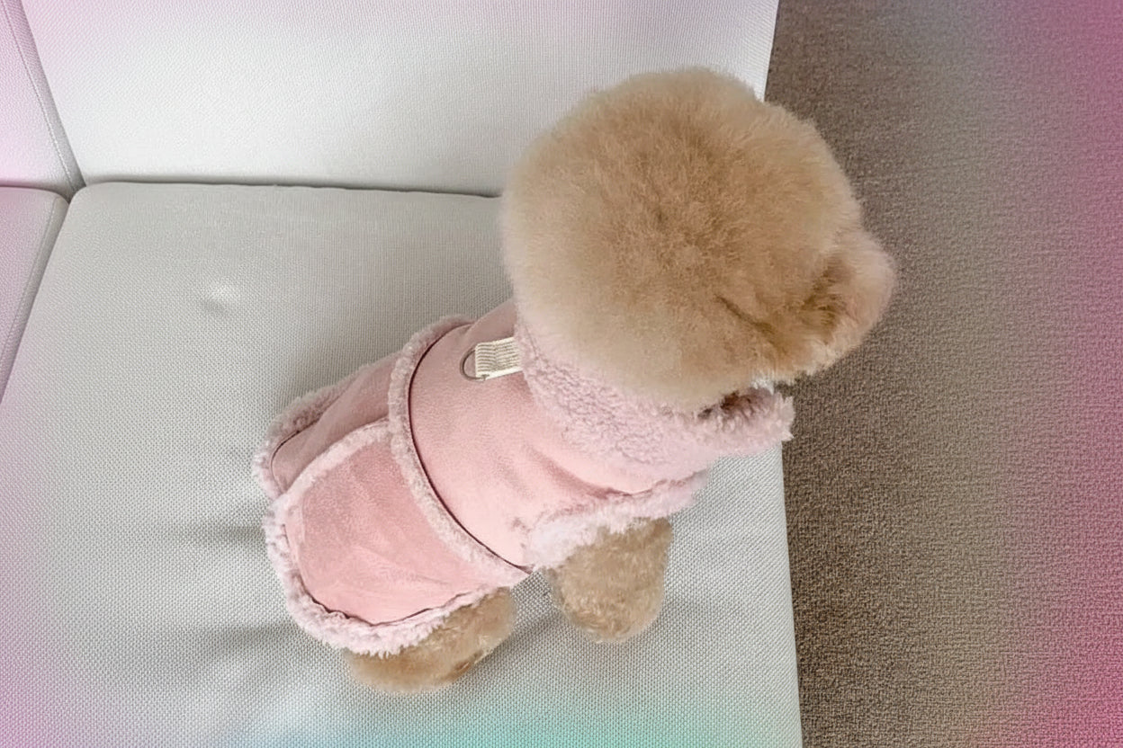 Blossom Sorbet pink luxury quilted pet coat for autumn and winter warmth