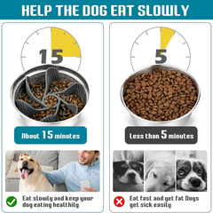 Converting a standard dog bowl into a slow feeder using the Pawzation insert