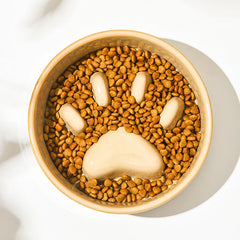 Pawzation Premium Ceramic Slow Feeder Bowl in Alpine White