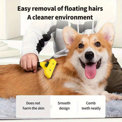 Professional grooming with Pawzation deshedding tool removing loose fur from a dog