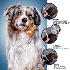 Pawzation Pet Flea Collar - Safe All-Natural Ingredients Diagram