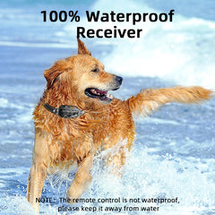 IPX7 Waterproof Dog Training Collar Receiver for All-Weather Performance
