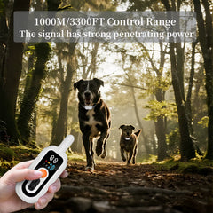 Electric Dog Training Collar – Waterproof Rechargeable Remote Training & Anti‑Bark Device for All Dog Sizes