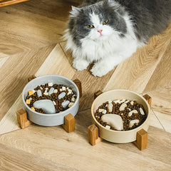 Pet eating from a Pawzation hygienic ceramic slow feeder bowl