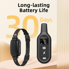 Rechargeable Pet Training Collar and Remote with USB Charging Cable