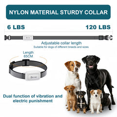 Adjustable Reflective Nylon Training Collar Strap for Small Medium and Large Dogs