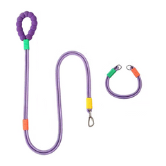 Pawzation Shock Absorbing Dog Training Lead and Collar Set in Green