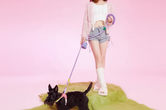 Comfortable padded handle on Pawzation training lead to prevent hand strain