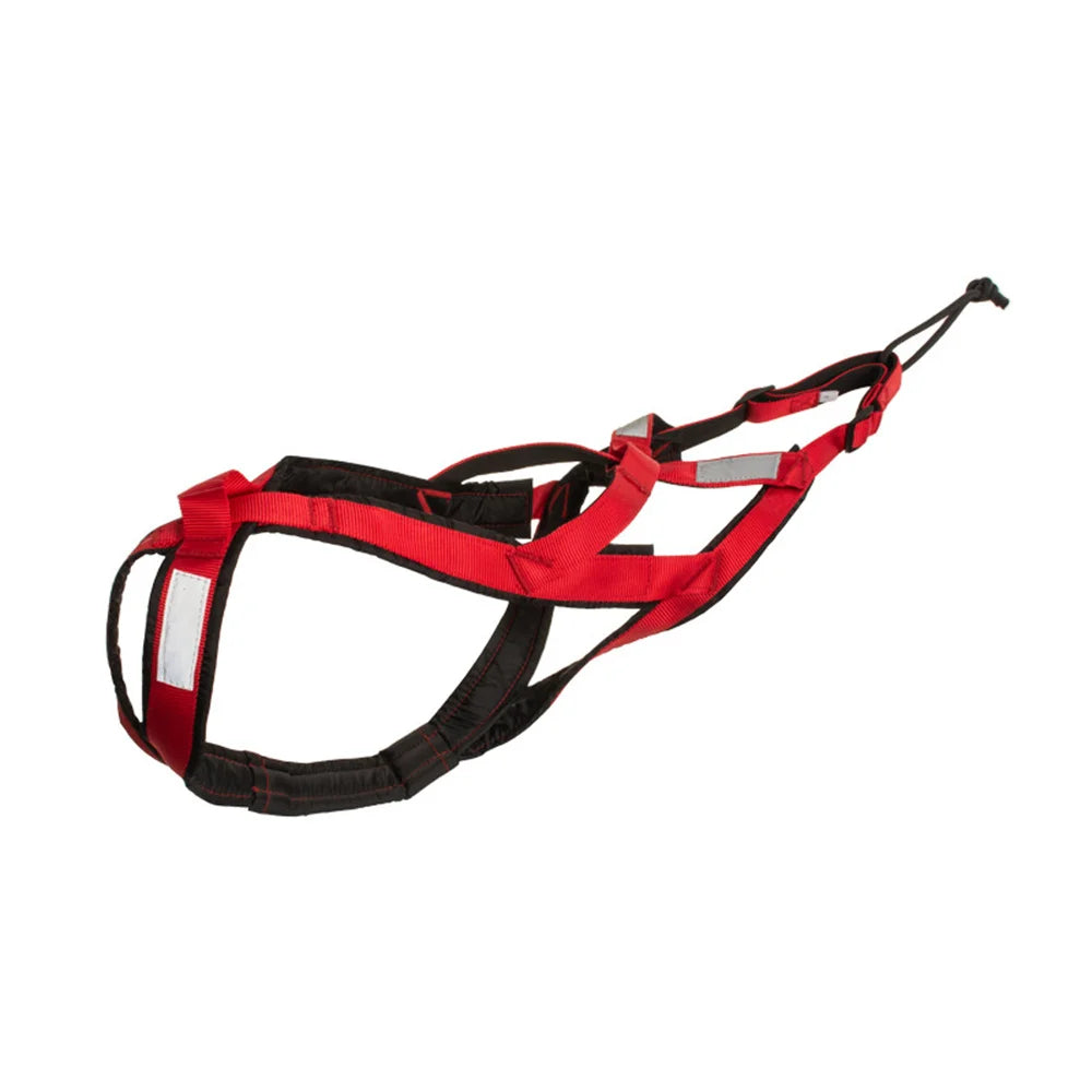 Professional dog weight pulling harness in Crimson Nitro Red for large breeds – Pawzation Australia
