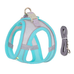An Arctic Mint blue breathable mesh puppy harness vest set with a matching grey walking leash and a secure top-release buckle.