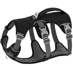 A black reflective dog harness featuring a reinforced lifting handle and padded chest for small to large breeds.