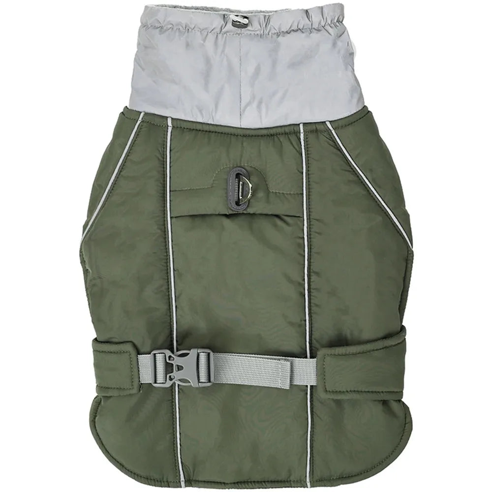 Alpine Pine green reflective waterproof dog jacket with thermal cotton lining.