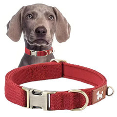 A vibrant crimson fire red heavy-duty pet collar displaying its weather-resistant design tailored for medium sized active dogs.