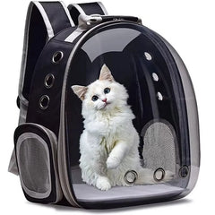 Sleek black space capsule pet backpack with transparent bubble window for cats and small dogs