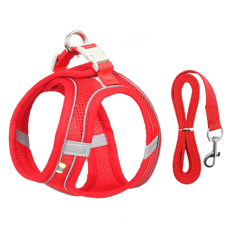A bright Crimson Fire Red padded mesh step-in dog harness set with highly visible safety borders and a matching 1.5m lead.