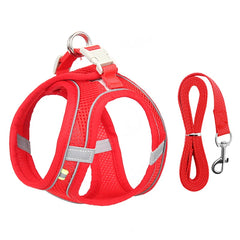 A bright Crimson Fire Red padded mesh step-in dog harness set with highly visible safety borders and a matching 1.5m lead.