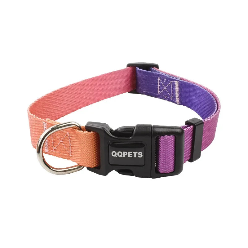 Dog collar with pink and purple straps and black buckle on a white background